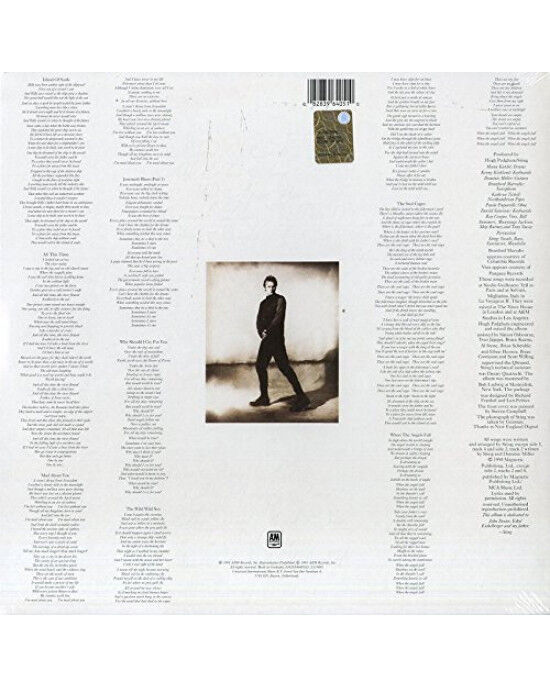 Sting – The Soul Cages (LP) Plak (Sıfır - Kapalı Ambalaj)