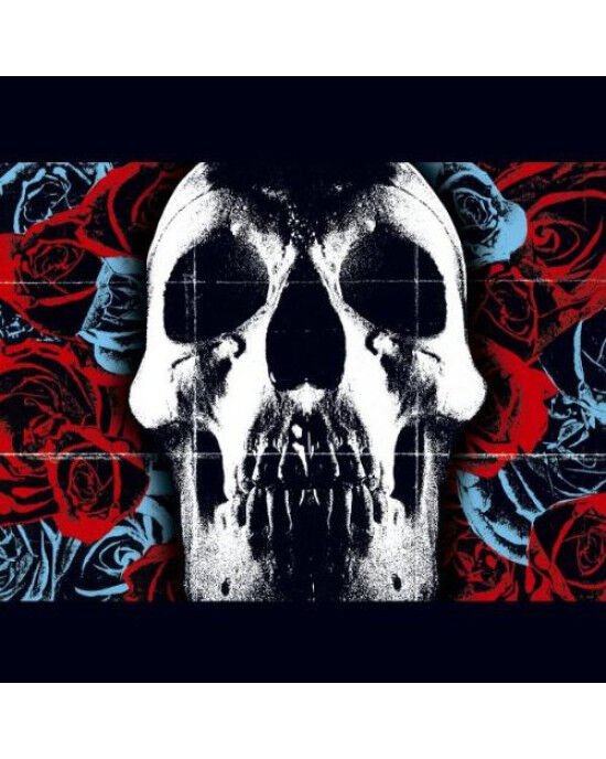 Deftones – Deftones (LP) Plak (Sıfır - Kapalı Ambalaj)