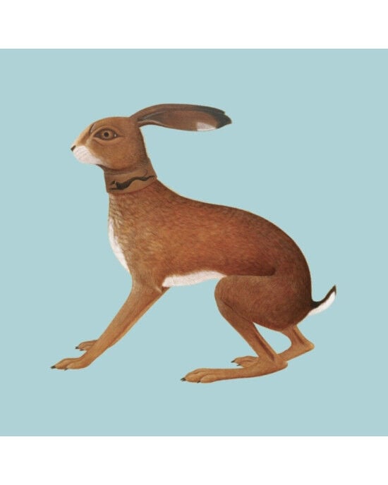Vashti Bunyan – Lookaftering LP Plak