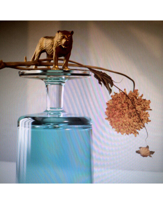 Beirut – Gallipoli LP Plak